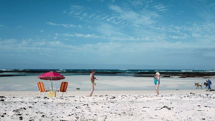 Rendir los machos Trailer