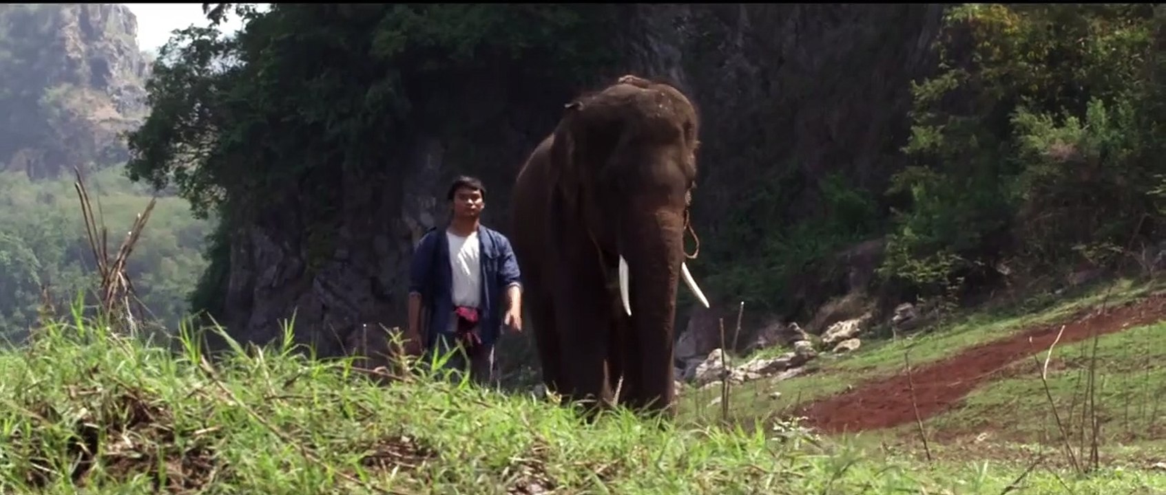 Return of the Warrior Trailer DF