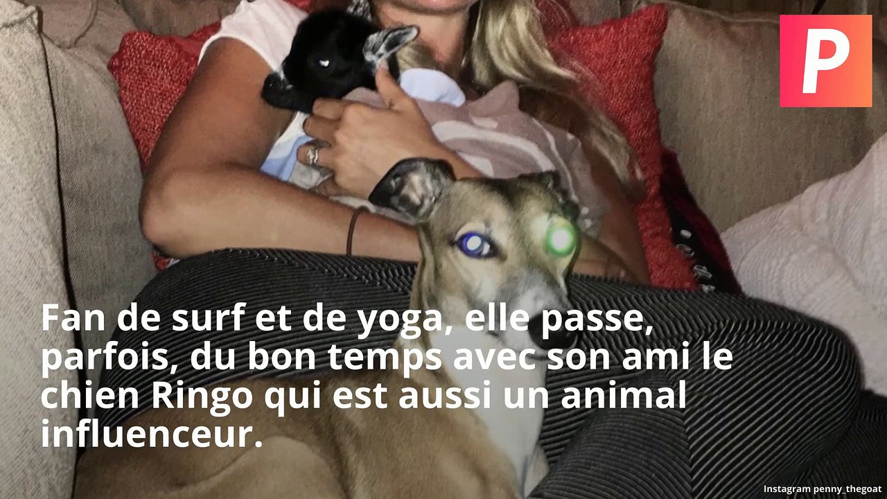 INSTACUTE : Penny la chèvre mini