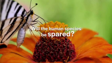 Endgame 2050 Tráiler VO