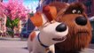 Pets - A Vida Secreta dos Bichos 2 Trailer (6) Dublado