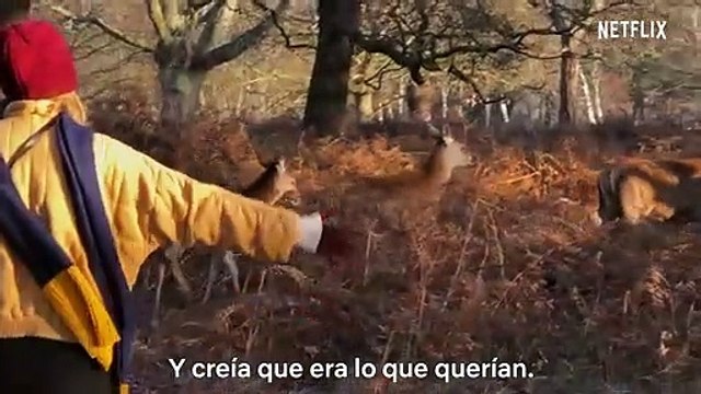 Taylor Swift: Miss Americana Tráiler VO