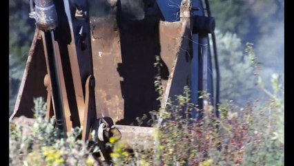 Costa Brava Libano - Trailer VO