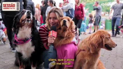 Pets - A Vida Secreta dos Bichos 2 Sessão AdoroCinema