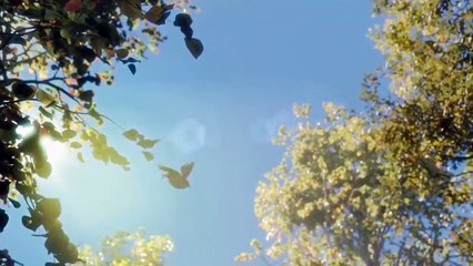 Tina & Téo - A Pedra Encantada Trailer Dublado