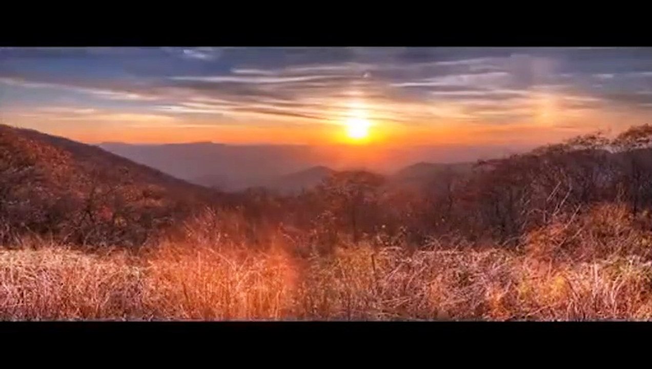 Into The Dark Trailer DF