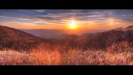 Into The Dark Trailer DF