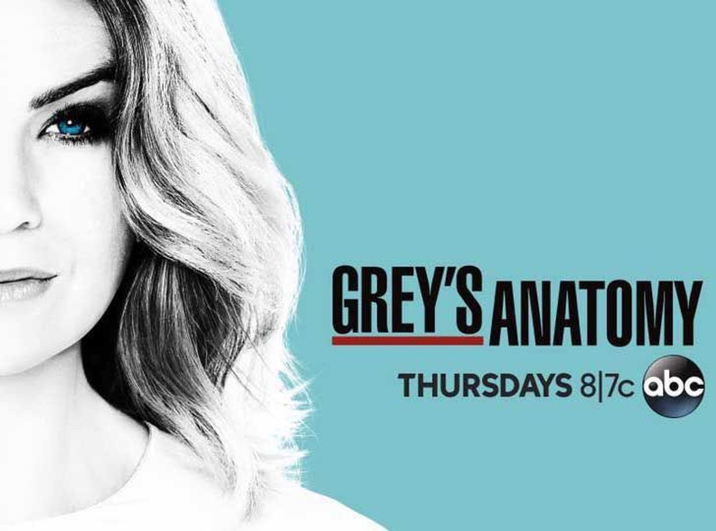 Greys Anatomy Replay Saison 13