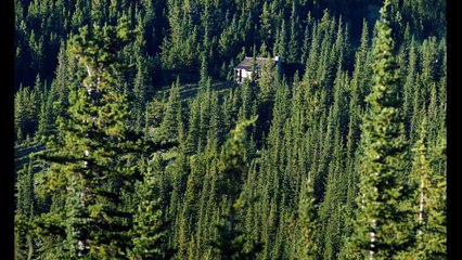 En un lugar salvaje Tráiler