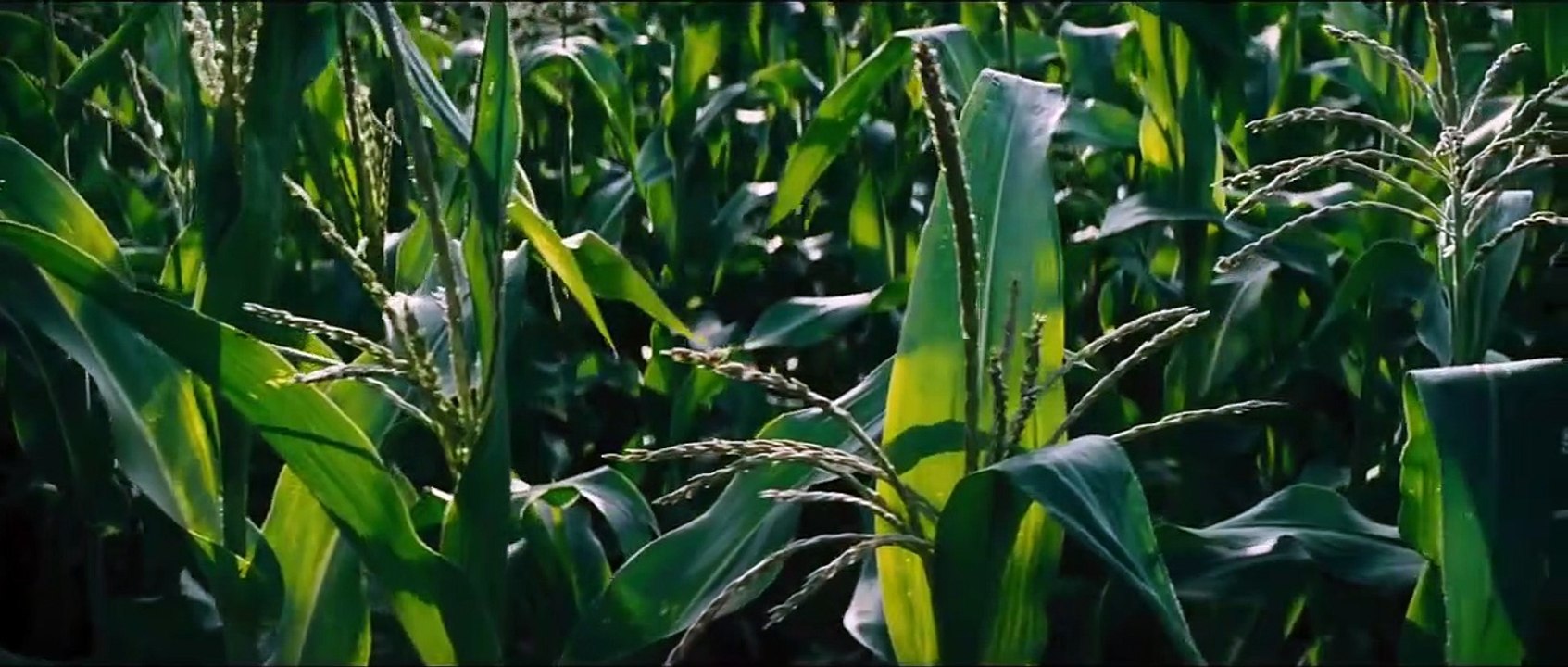 Interstellar Teaser OV