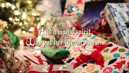 Eine Bulldogge zu Weihnachten Trailer OV