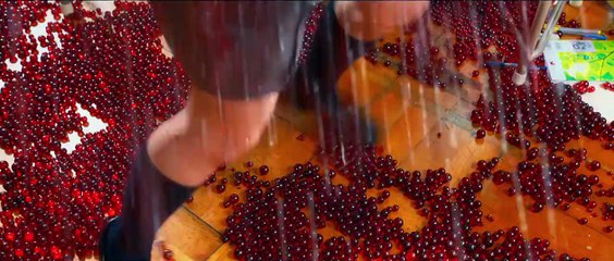 As the Gods Will Trailer (2) OV