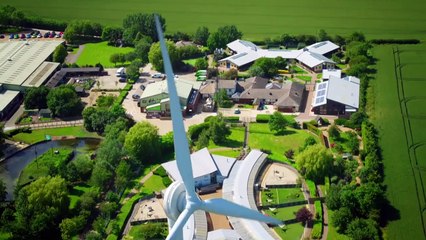 The Dog House Tráiler VO