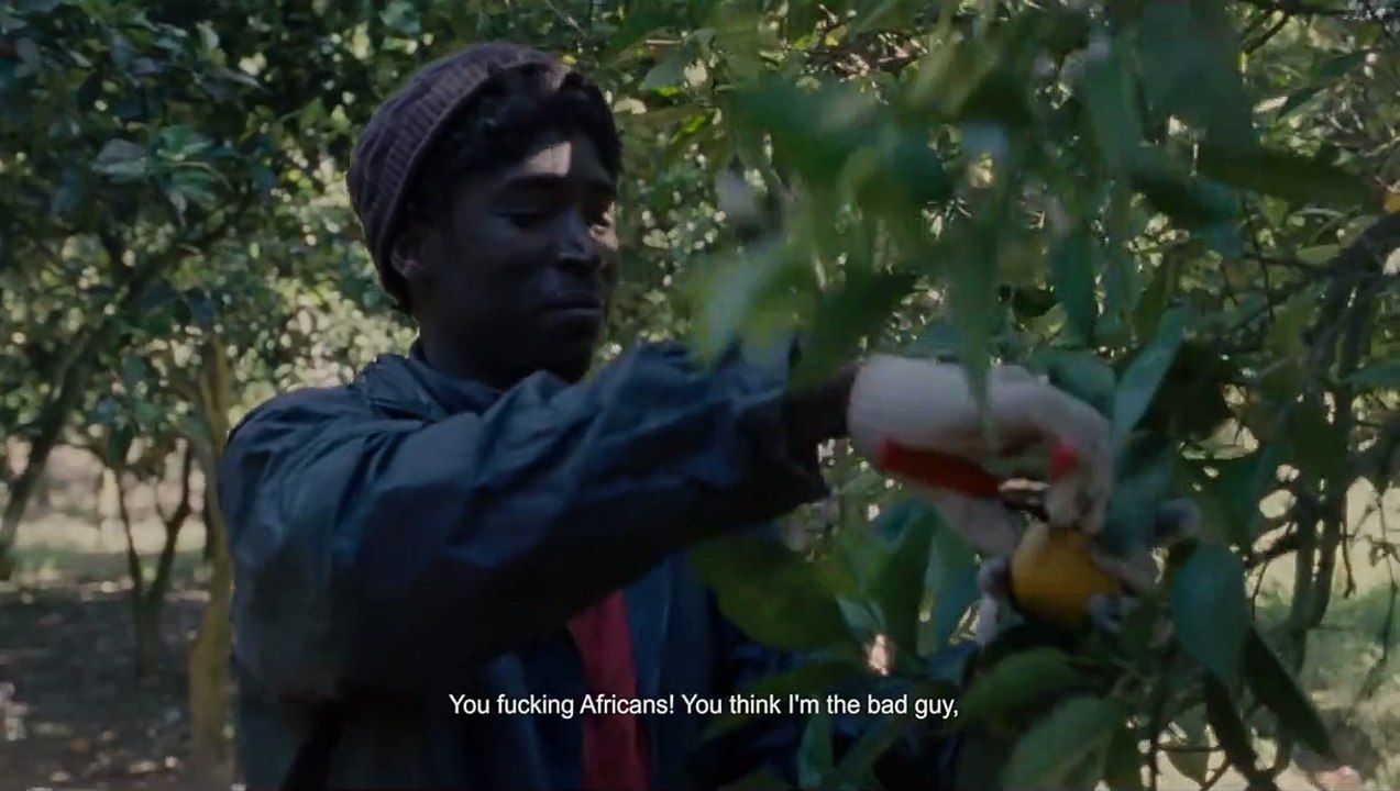 Mediterranea Trailer OmeU