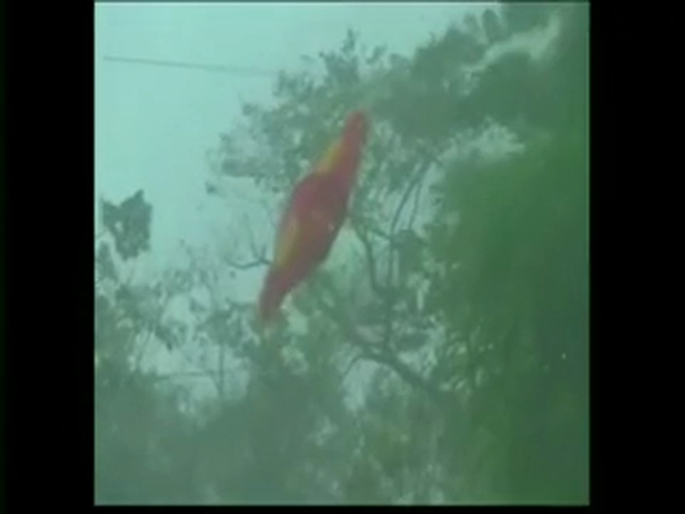 Typhoon Melor makes landfall in Philippines