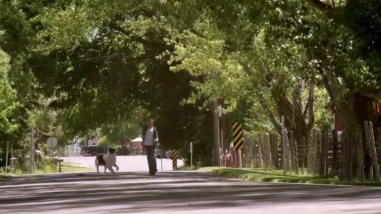 Pluto - Ein Schutzengel auf vier Pfoten Trailer (2) OV