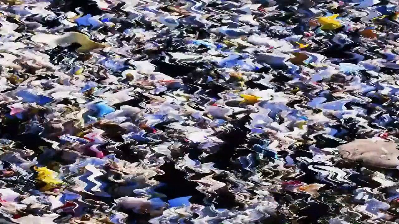 Die Qual der Wahl Trailer (2) OV