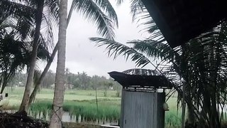 Hujan di Pedesaan
