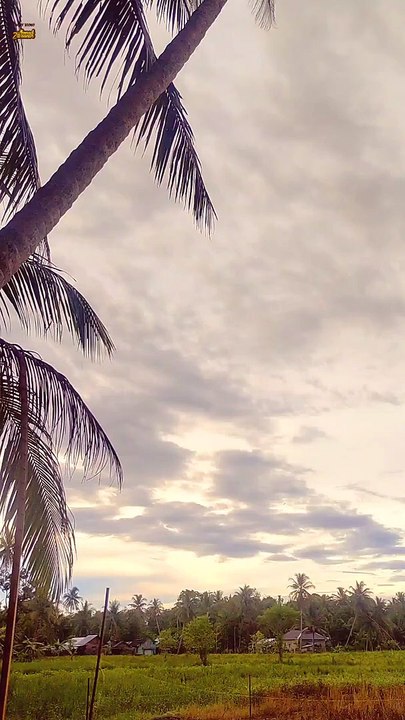Langit Yang Cerah