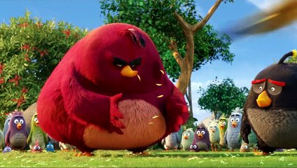 Angry Birds - Der Film Videoauszug (2) DF