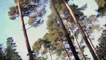 Hangar 10 Trailer OV