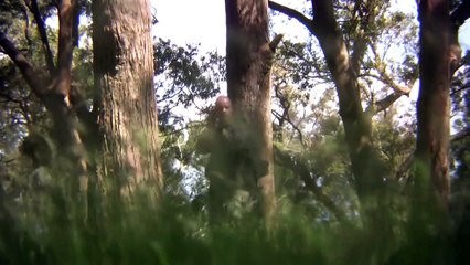 Last Man On Earth Trailer OV