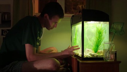 Siempre contigo Tráiler