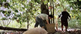 A Floresta De Jonathas - Im dunklen Grün Trailer (2) OV