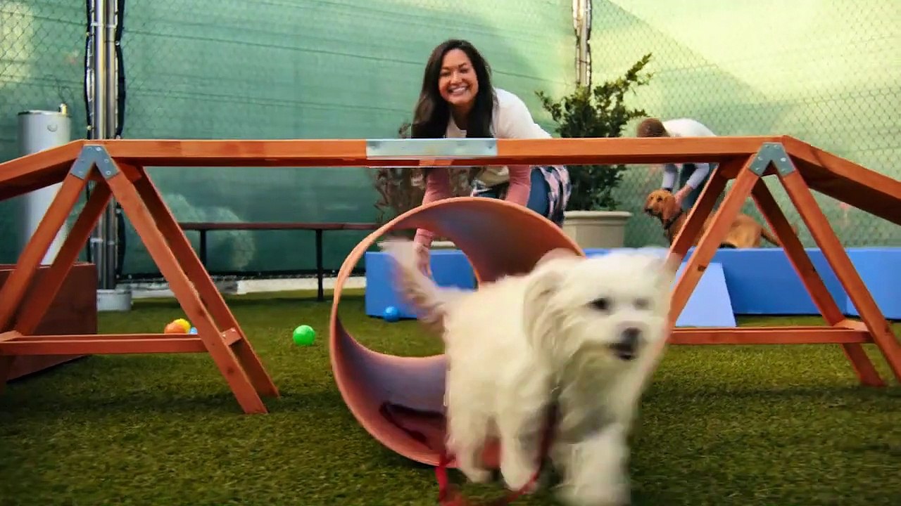 Cachorritos: Buscando un hogar Tráiler VO