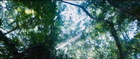 Jumanji: Willkommen im Dschungel Trailer (5) OV