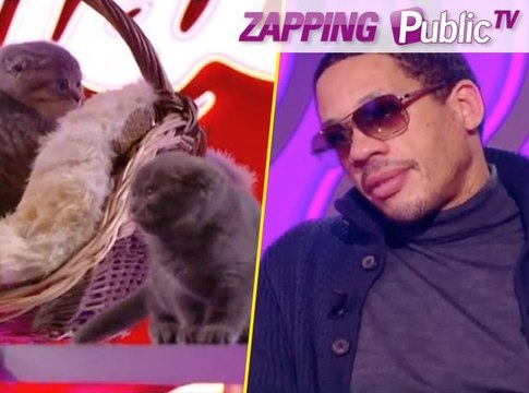Zapping PublicTV n°252 : JoeyStarr : Je sortirais mon biscuit pour arroser des chatons !