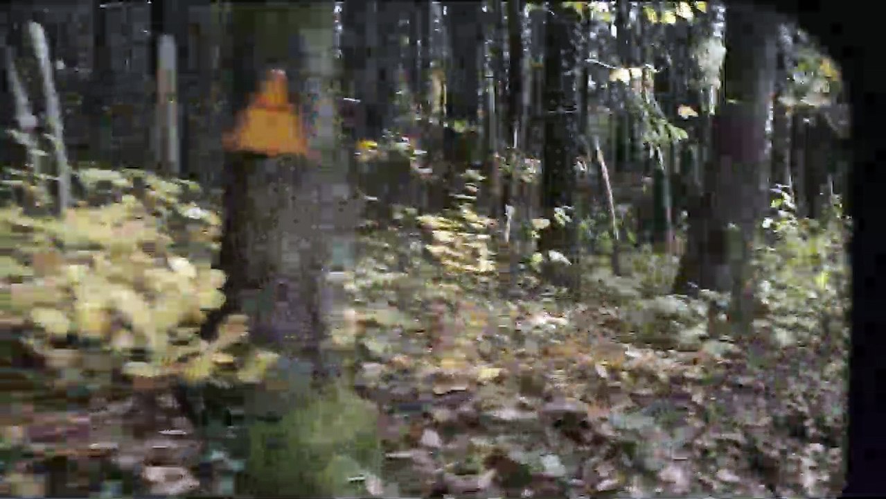 Chernobyl Diaries Videoauszug DF