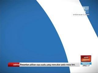 Can you be rich by being a pet stylist?