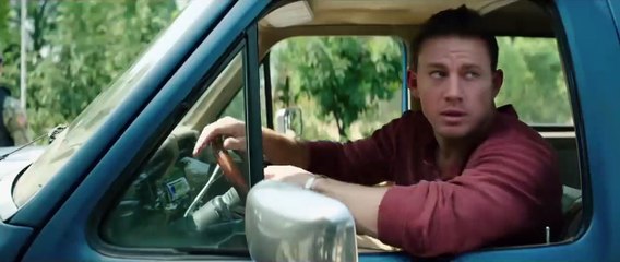 Dog Trailer Original