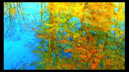 Goodbye To Language Trailer (2) OV