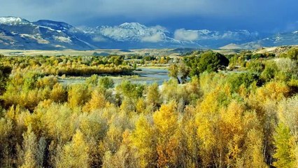 As Cores do Amor Trailer Dublado