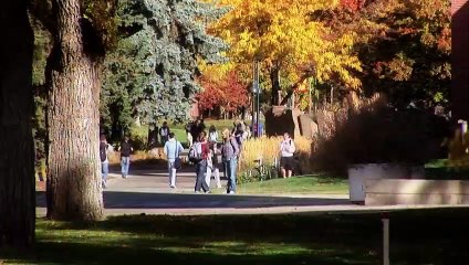 Hexenjagd - Die Hänsel & Gretel Story Trailer (2) OV