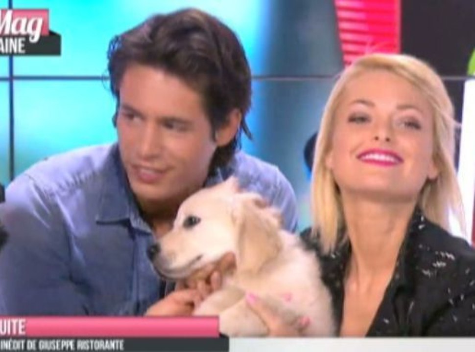 Public Zap : Island, la nouvelle mascotte du Mag qui fait grimper les audiences !