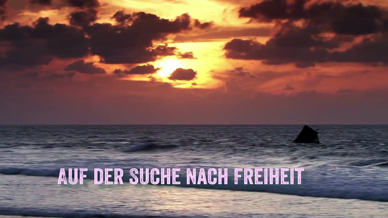 Off Shore Trailer DF