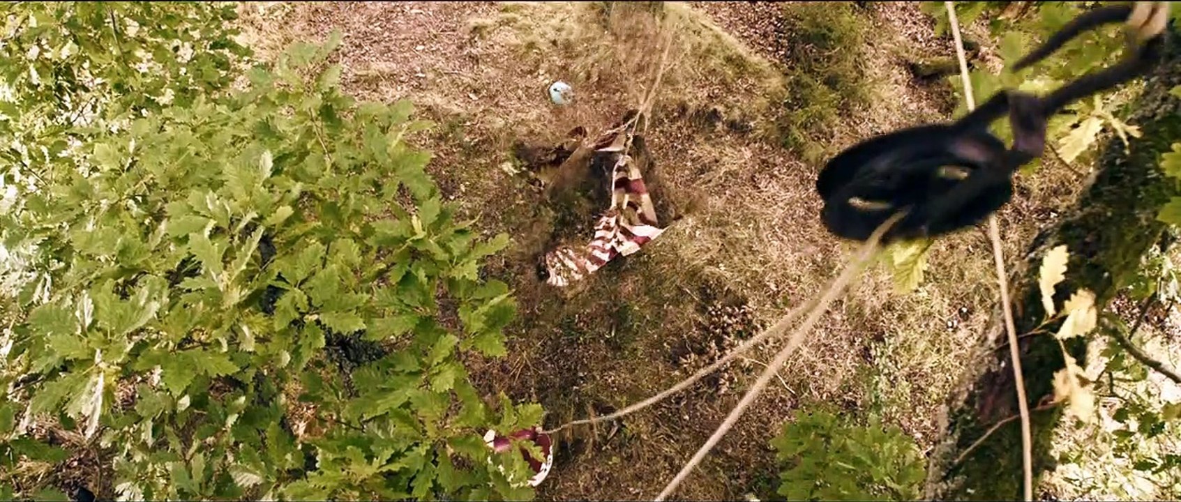 V8 - Die Rache der Nitros Trailer DF