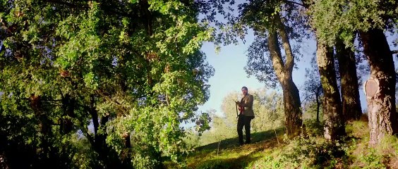 Dom Hemingway Trailer (3) OV