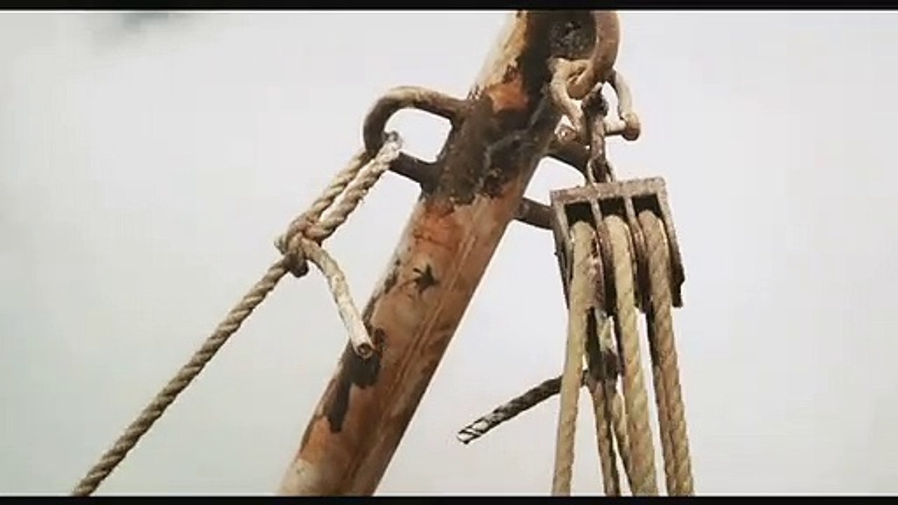 Das Schwein von Gaza Videoauszug DF