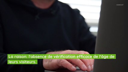 Pornhub, Xhamster, Tukif : l'Arcom demande le blocage de cinq sites pornographiques