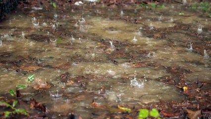RAIN DROPLETS AND AMAZING SOUND