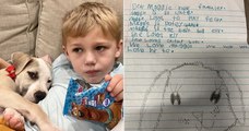 À 6 ans, il écrit des lettres vantant le caractère aimant d'une chienne issue d'un refuge pour faciliter son adoption