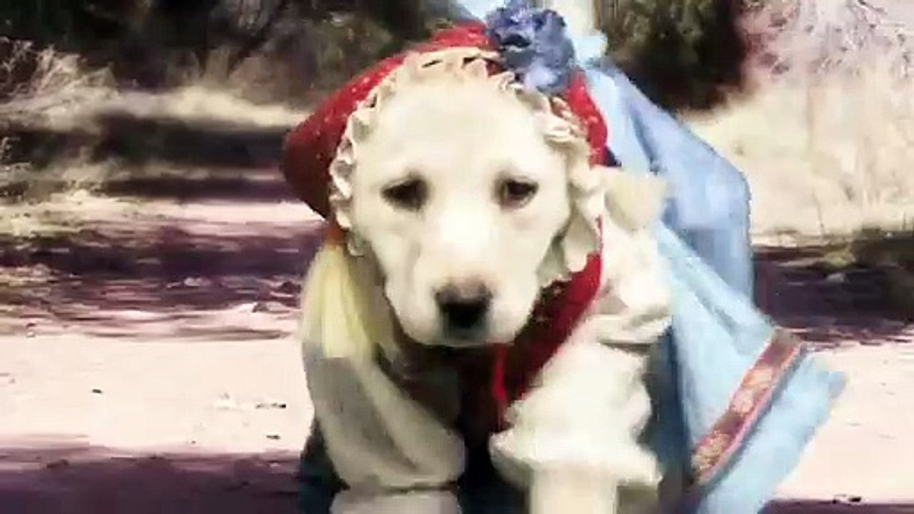 Heidi auf 4 Pfoten Teaser DF