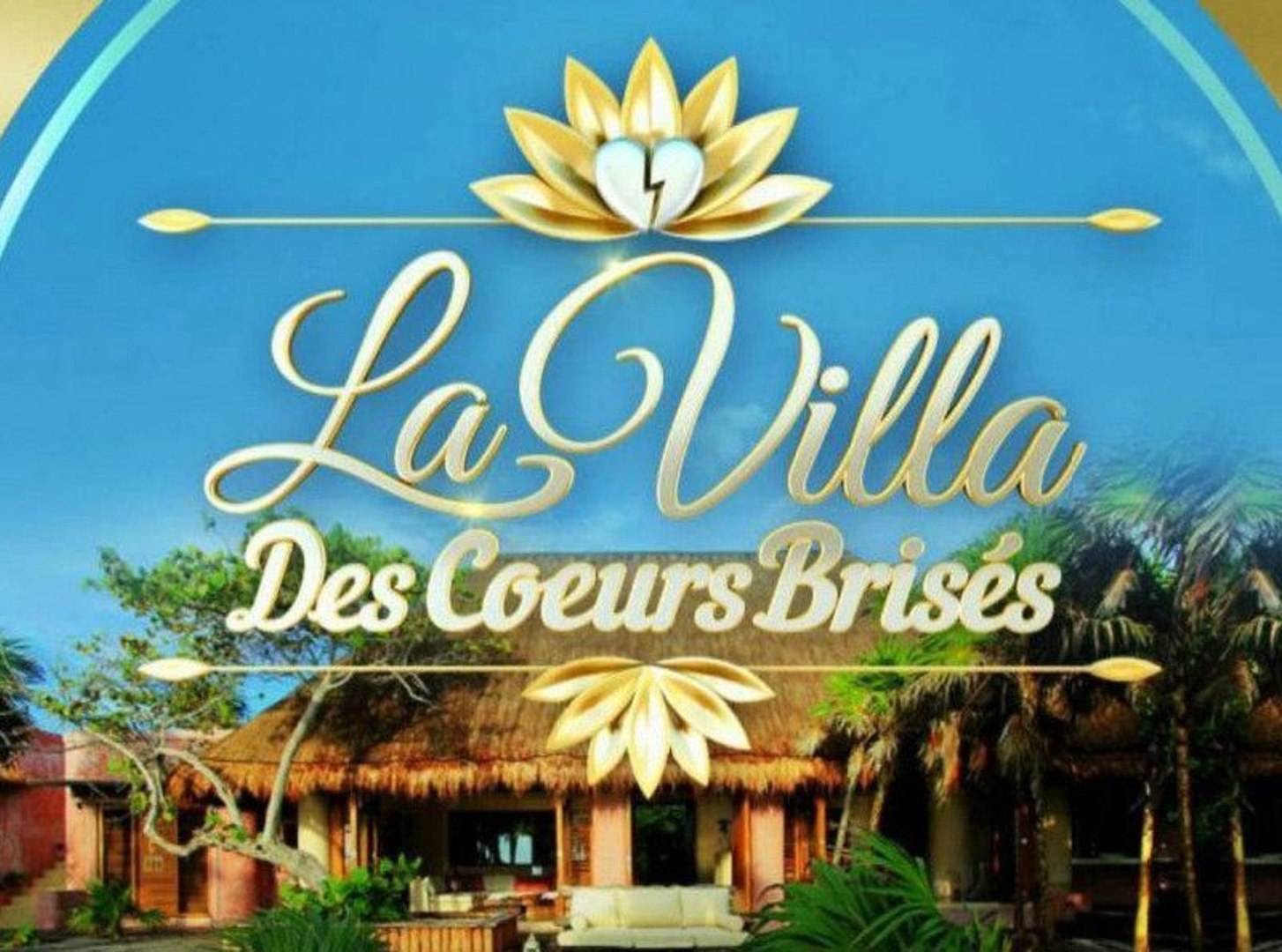 Vincent Shogun La Villa Des Coeurs Brisés