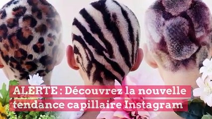 ALERTE : Découvrez la nouvelle tendance capillaire Instagram