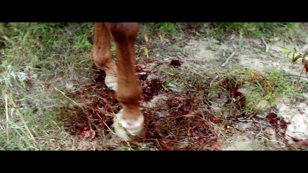 Das Duell Trailer DF