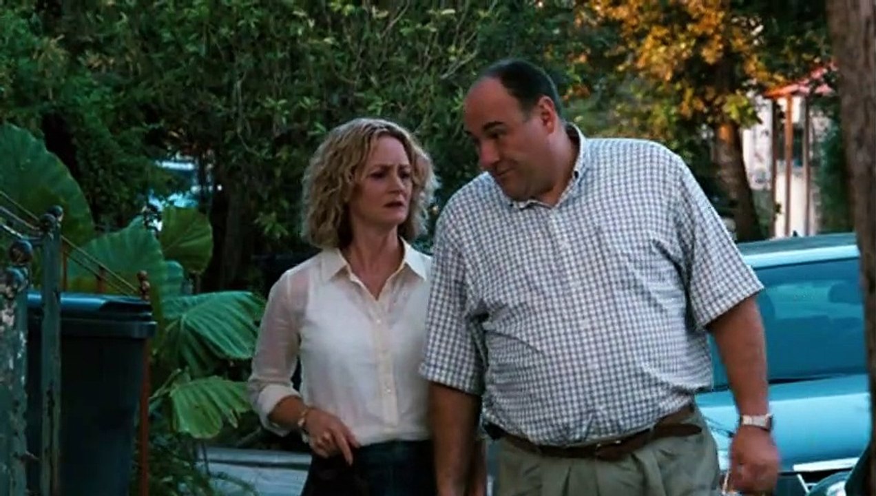 Willkommen bei den Rileys Trailer DF